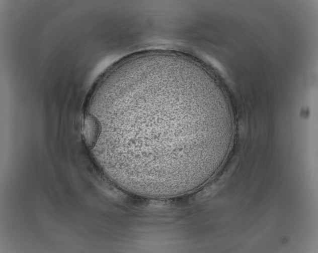 X0000091921267200709261634