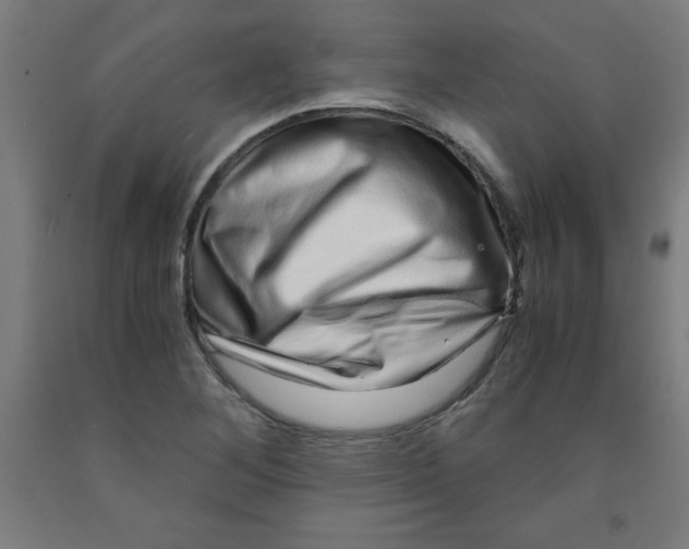 X0000091921268200709261634