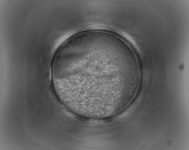 X0000091921269200709261634