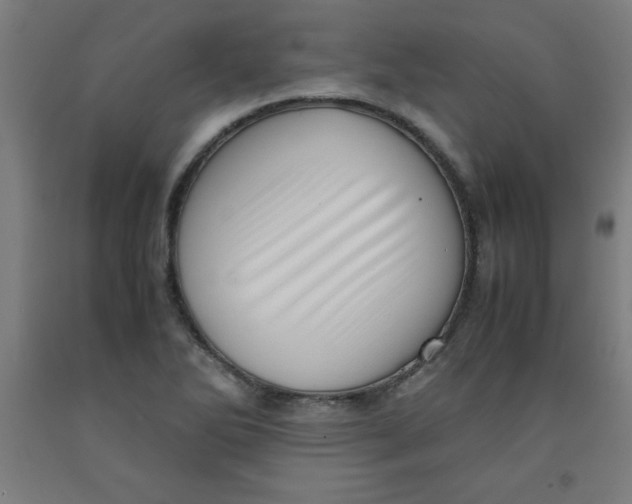 X0000091921270200709261634