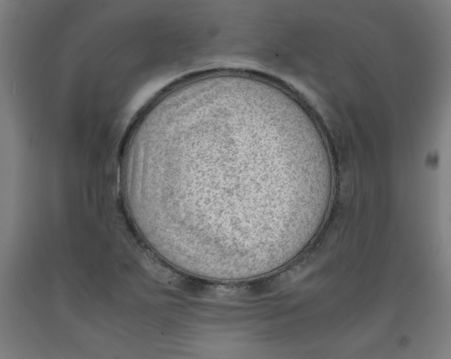 X0000091921271200709261634