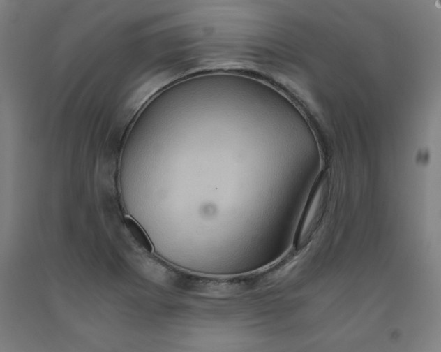 X0000091921273200709261634