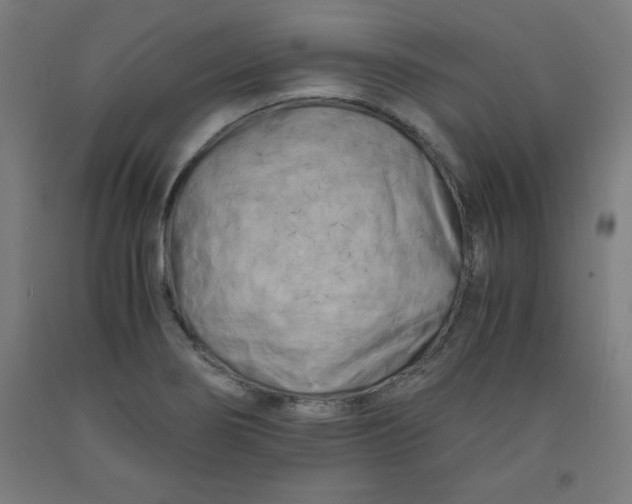 X0000091921274200709261634