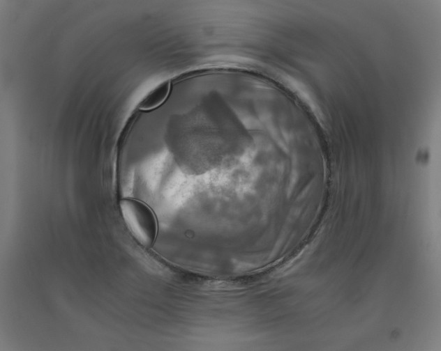 X0000091921275200709261634