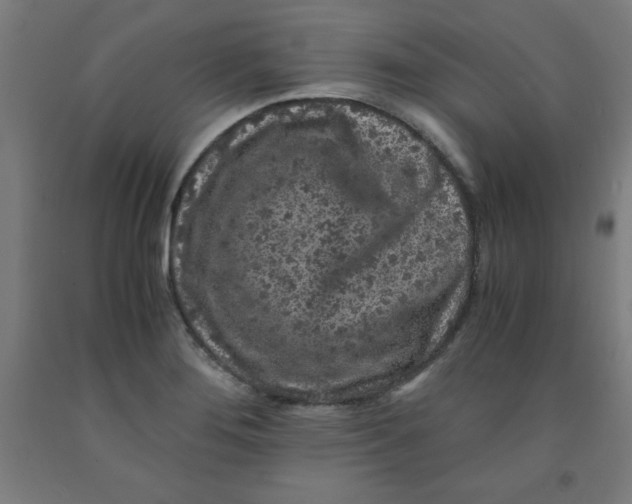 X0000091921276200709261634