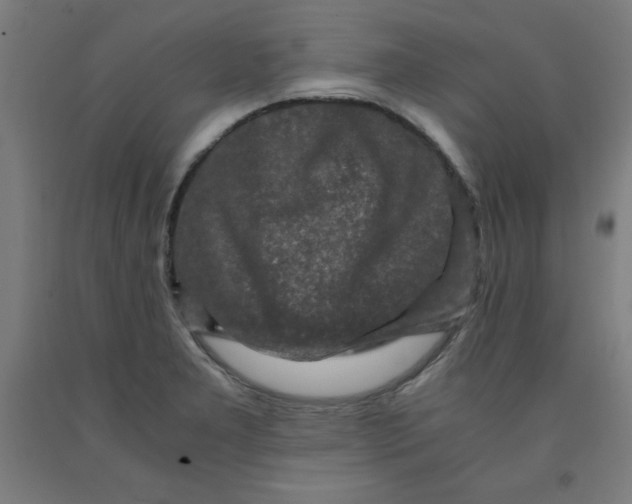 X0000091921277200709261634