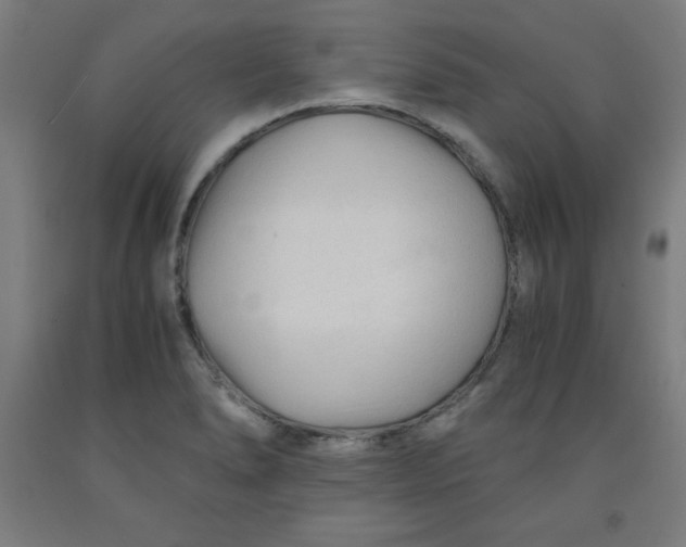 X0000091921278200709261634