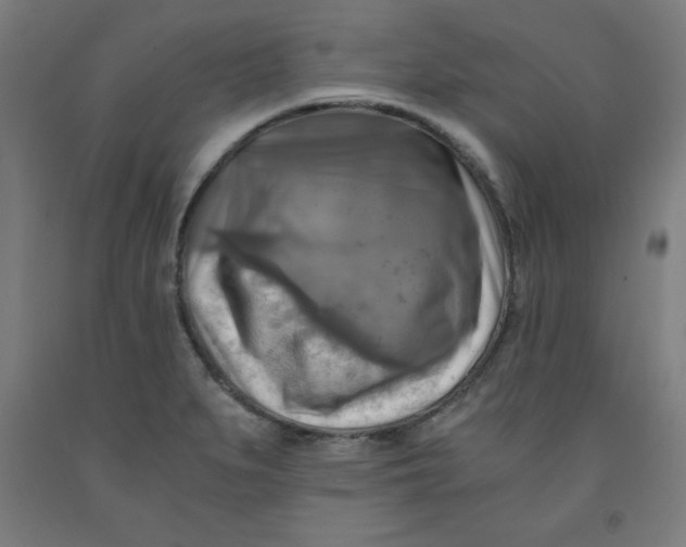 X0000091921279200709261634