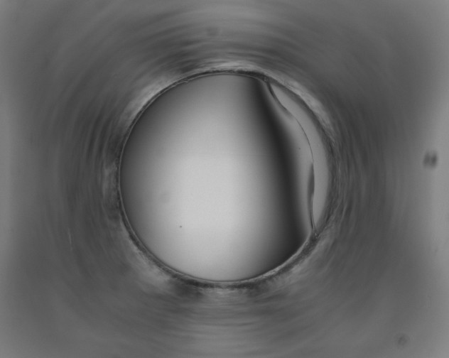 X0000091921281200709261634