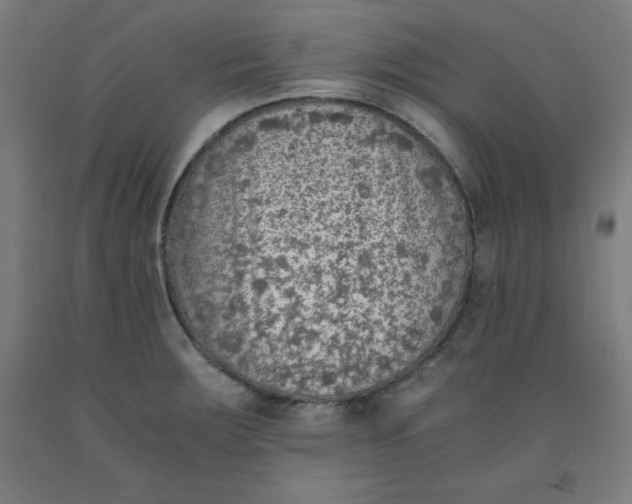 X0000091921283200709261634