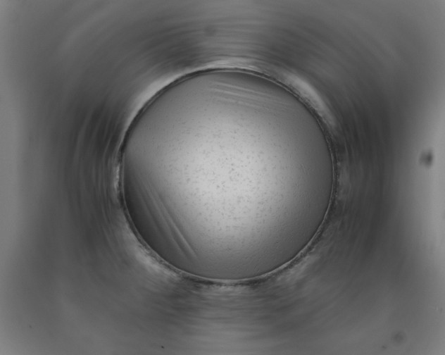 X0000091921284200709261634