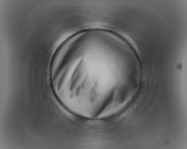 X0000091921285200709261634