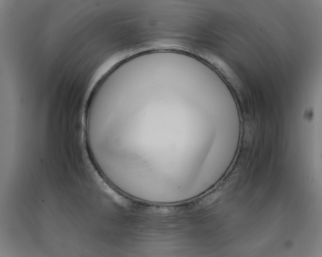 X0000091921286200709261634