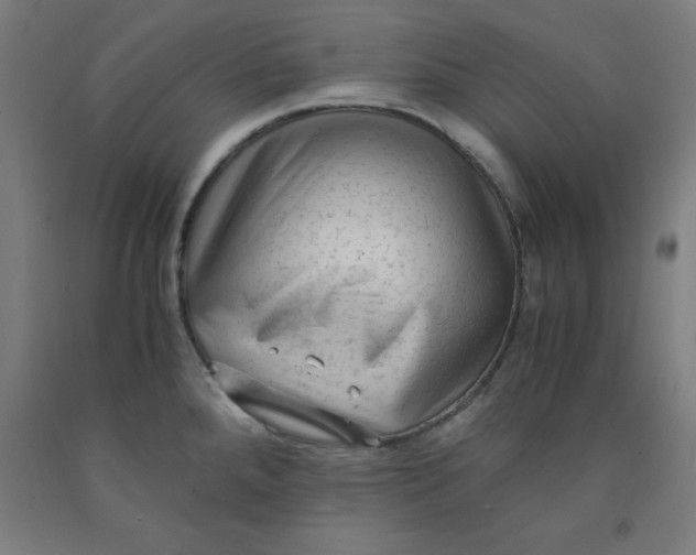 X0000091921288200709261634