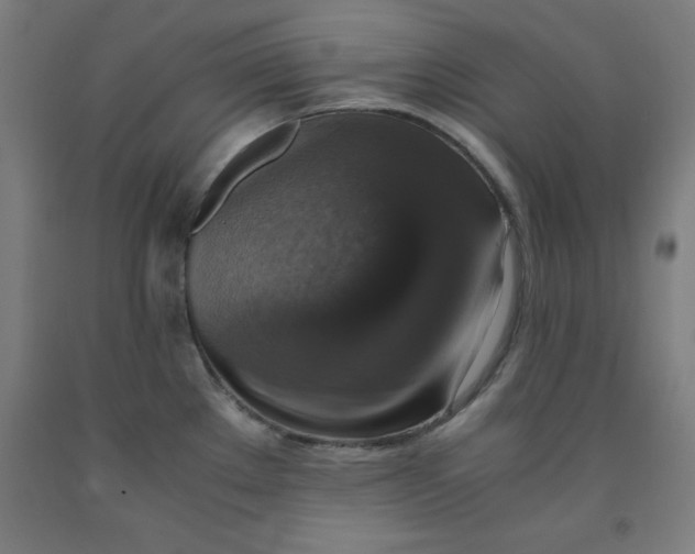 X0000091921289200709261634