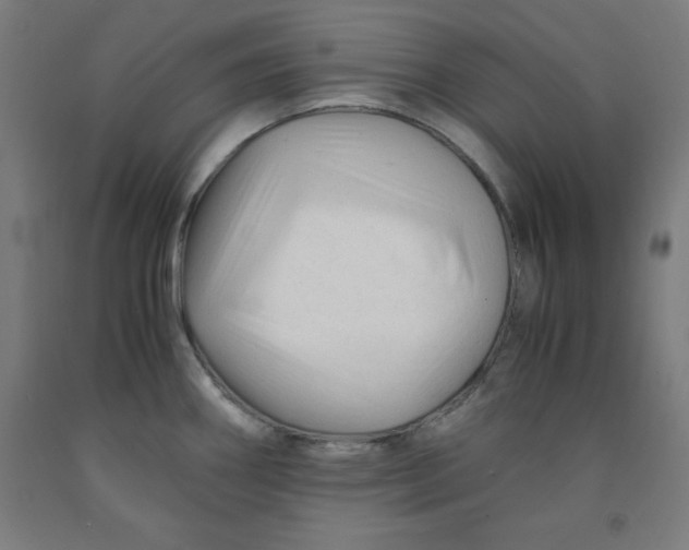 X0000091921290200709261634