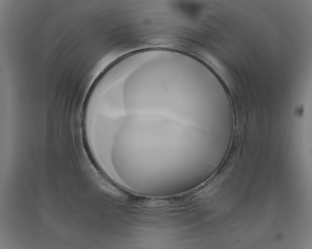 X0000091921291200709261634