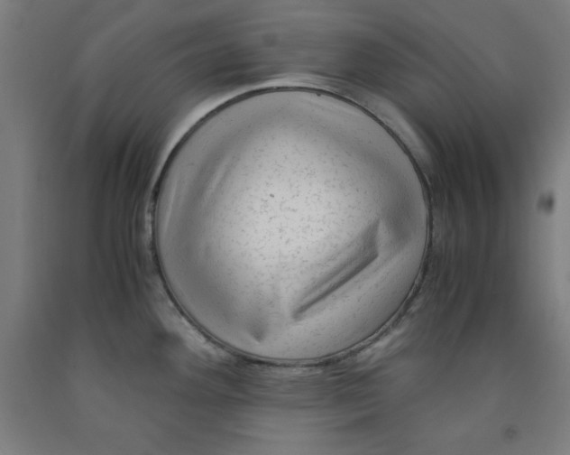 X0000091921292200709261634