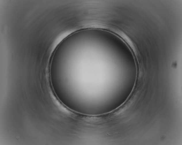 X0000091921293200709261634