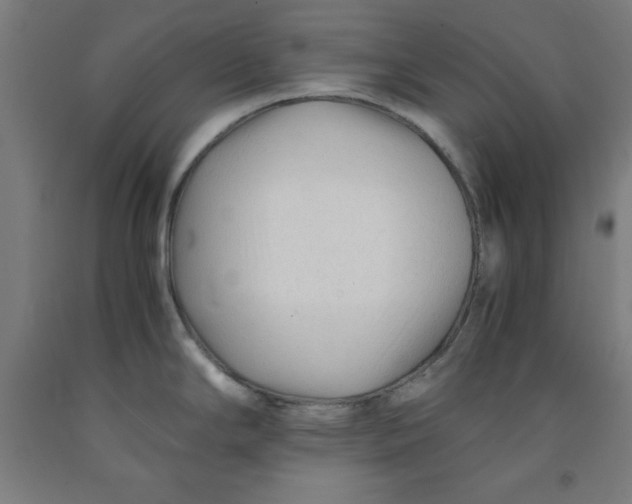 X0000091921294200709261634