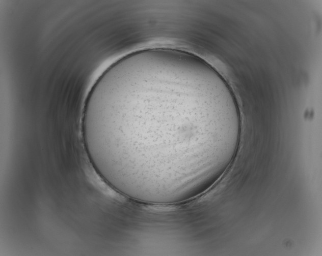 X0000091921296200709261634