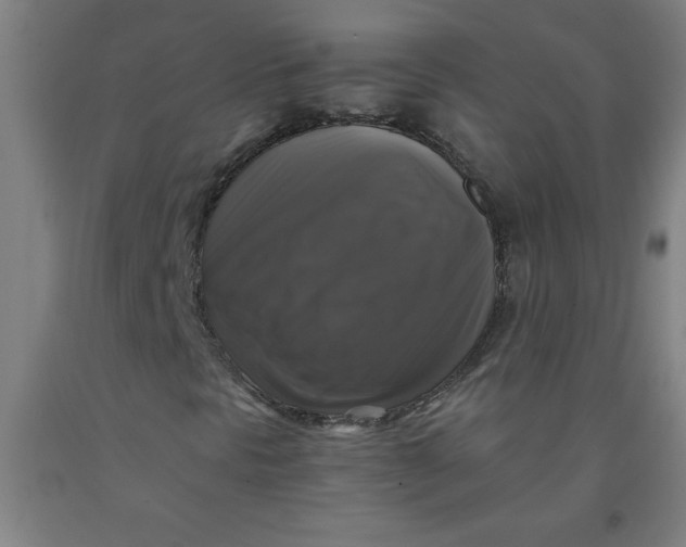 X0000091921297200709261633