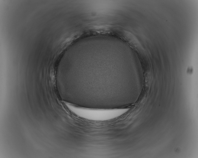 X0000091921298200709261633