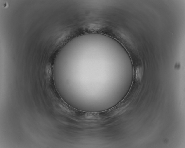 X0000091921299200709261633