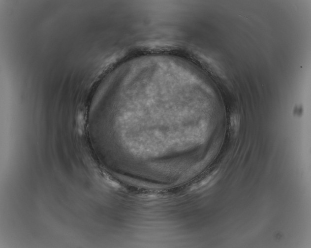 X0000091921300200709261633