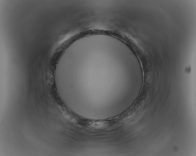 X0000091921303200709261633