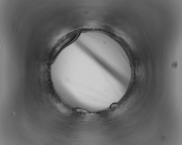 X0000091921304200709261633