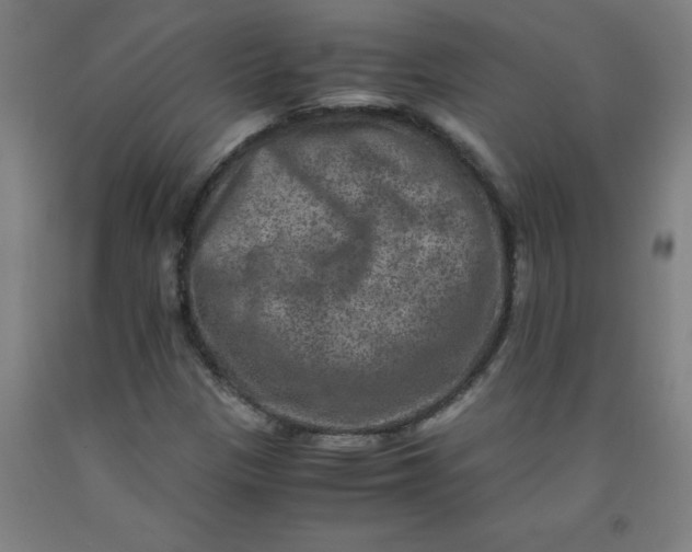 X0000091921305200709261633