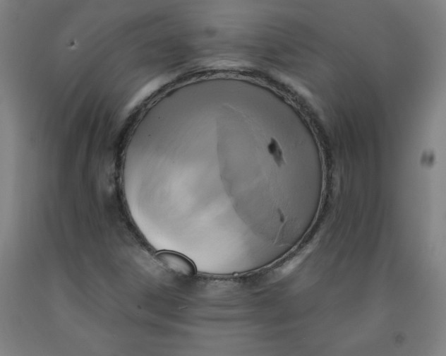 X0000091921306200709261633