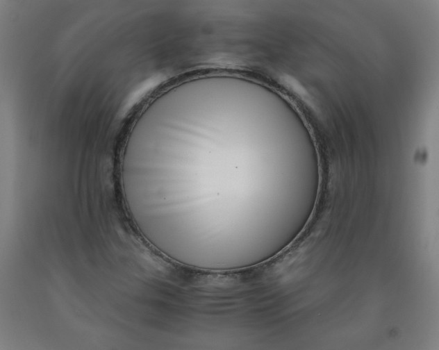 X0000091921307200709261633