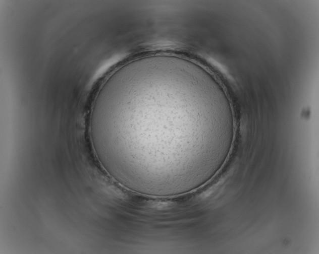 X0000091921309200709261633