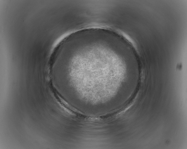 X0000091921310200709261633