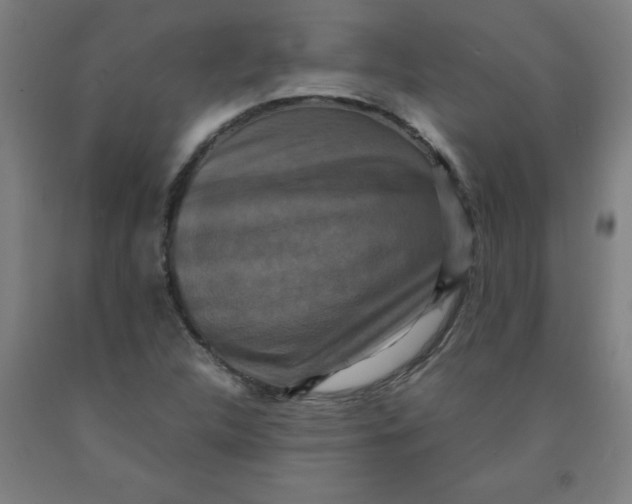 X0000091921312200709261633