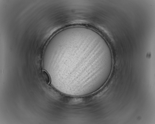 X0000091921313200709261633