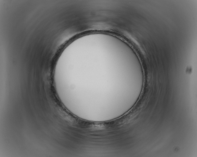 X0000091921315200709261633