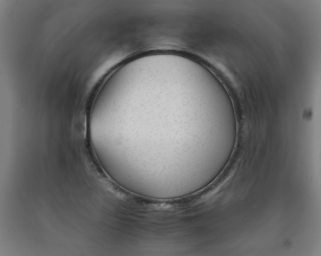 X0000091921317200709261633