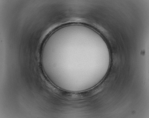 X0000091921318200709261633