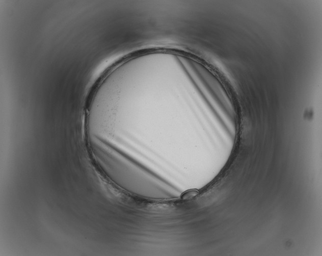 X0000091921320200709261634