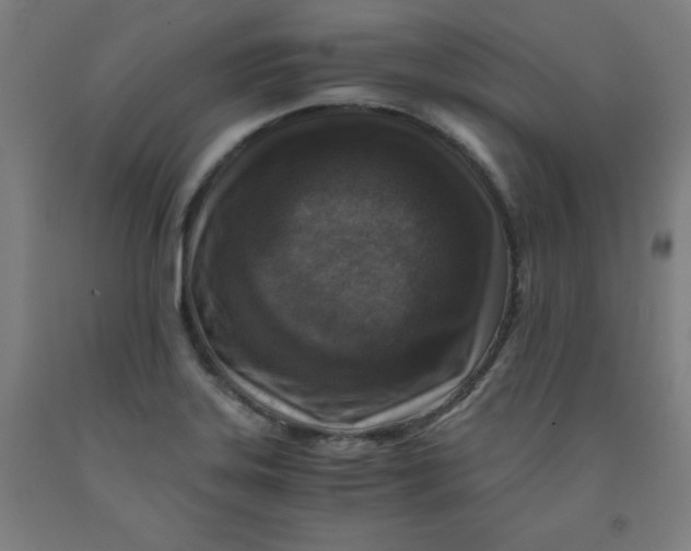 X0000091921323200709261634