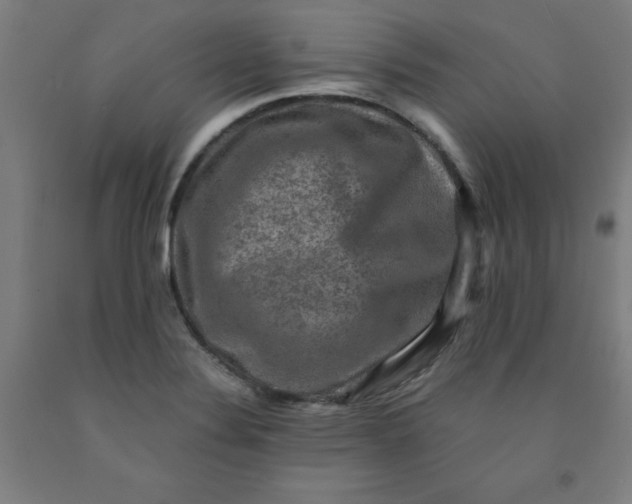 X0000091921324200709261634