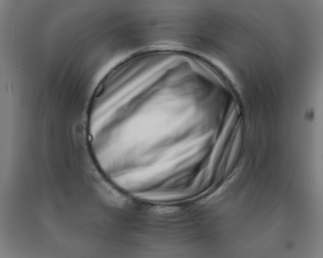 X0000091921325200709261634