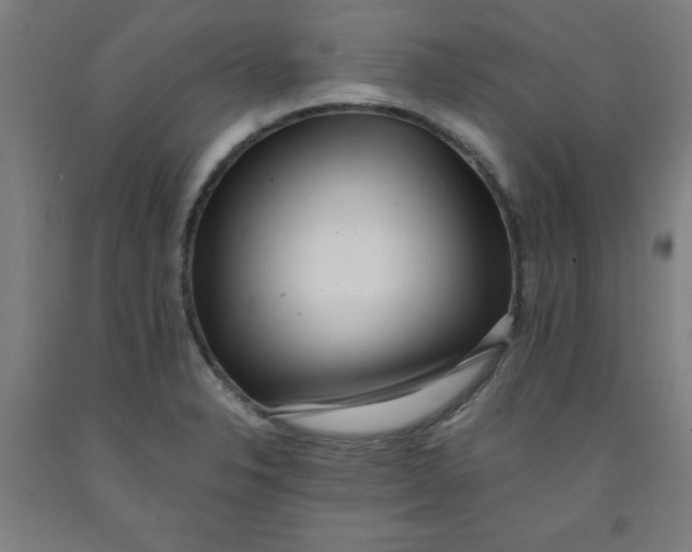 X0000091921326200709261634