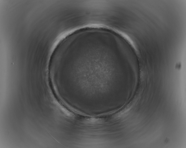 X0000091921327200709261634