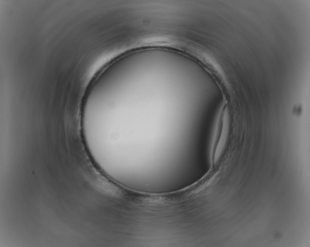 X0000091921328200709261634