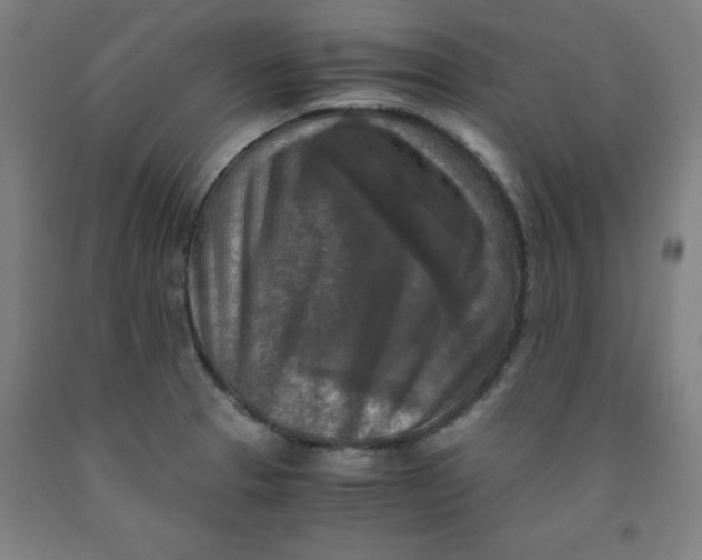 X0000091921329200709261634