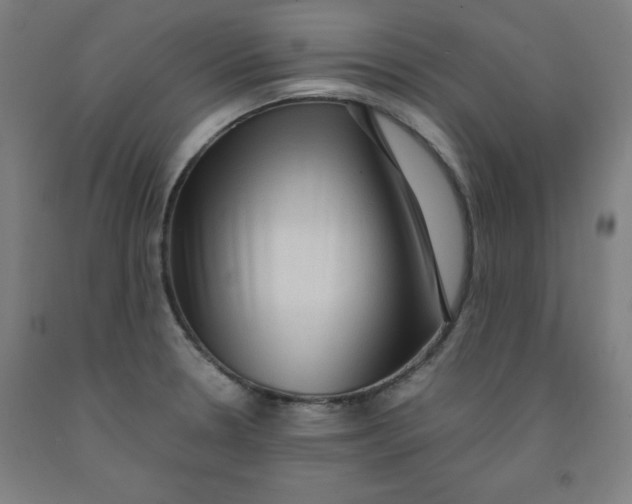 X0000091921330200709261634